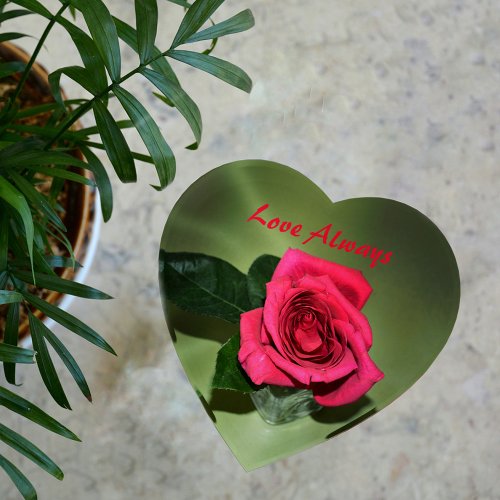 Classic Red Rose on Green Floral Photographic Paperweight