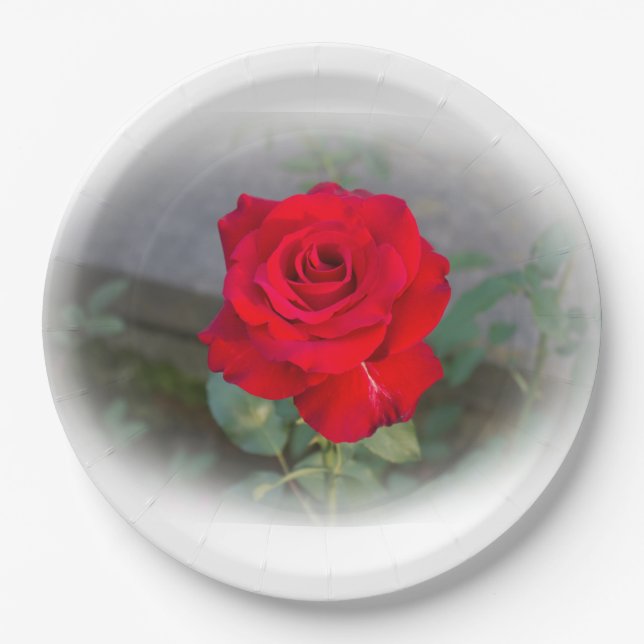 Classic Red Rose Paper Plate (Front)