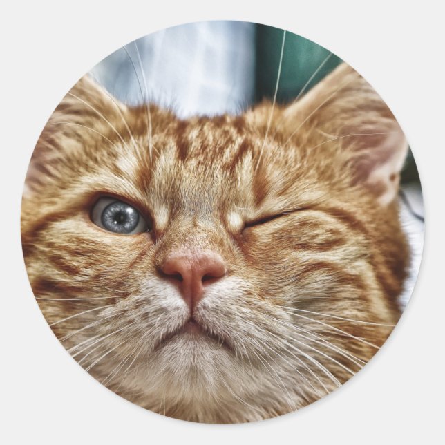 Classic Round Sticker (Front)