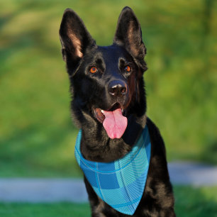 Classic Royal Sky Blue Plaid Aesthetic Pet Bandana Collar