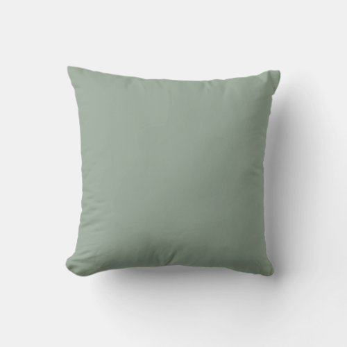 Classic Sage Green Smooth Throw Pillow