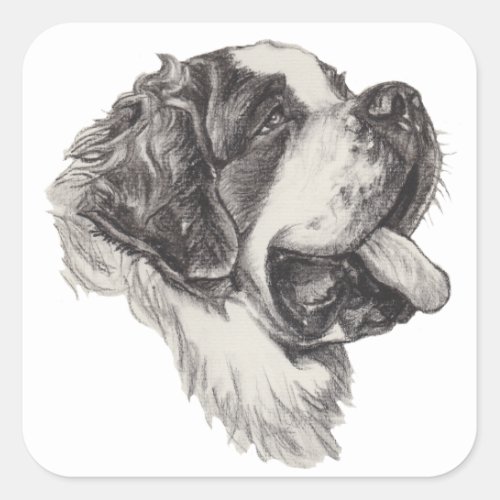 Classic Saint Bernard Dog Portrait Drawing Square Sticker