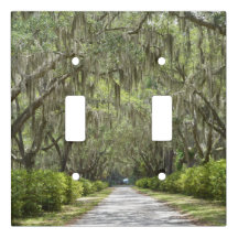 Classic Savannah Switch Plate Cover