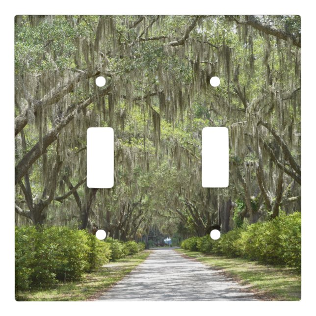 Classic Savannah Switch Plate Cover (Front)