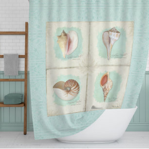 Classic Sea Shells Beach Ocean Shore Aqua Blue Shower Curtain