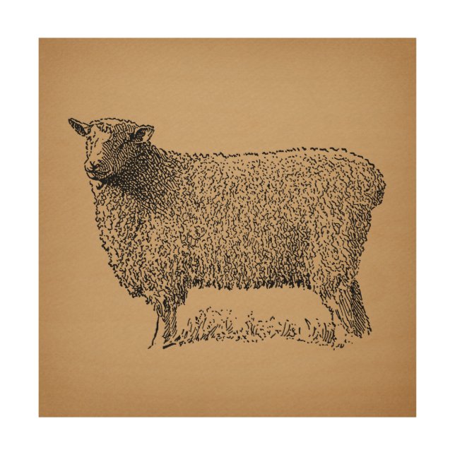 Classic Sheep Art Illustration Antique Farm Animal (Front)