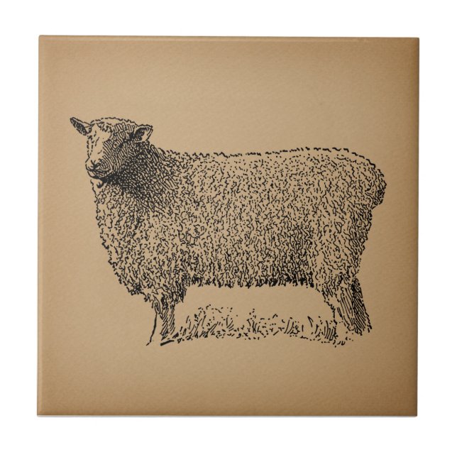 Classic Sheep Art Illustration Antique Farm Animal Ceramic Tile (Front)