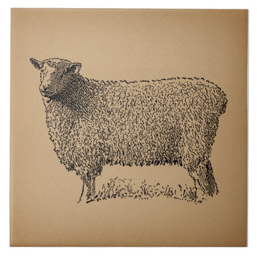 Classic Sheep Art Illustration Antique Farm Animal Ceramic Tile