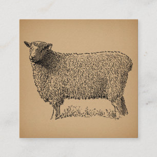 Classic Sheep Art Illustration Antique Farm Animal Enclosure Card