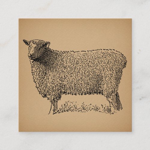 Classic Sheep Art Illustration Antique Farm Animal Enclosure Card