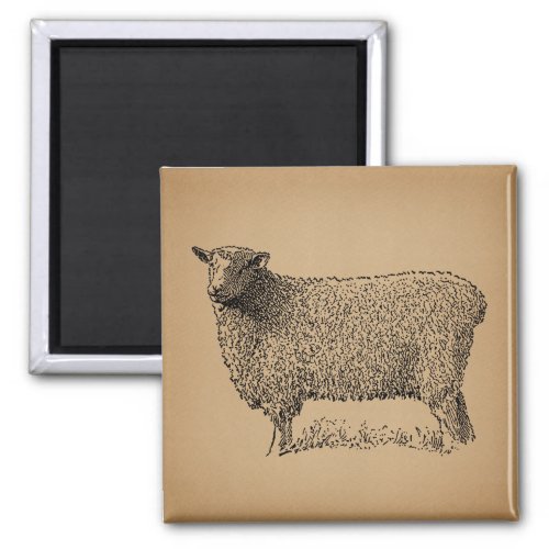 Classic Sheep Art Illustration Antique Farm Animal Magnet
