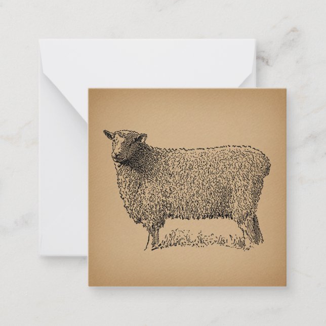Classic Sheep Art Illustration Antique Farm Animal Note Card (Front)