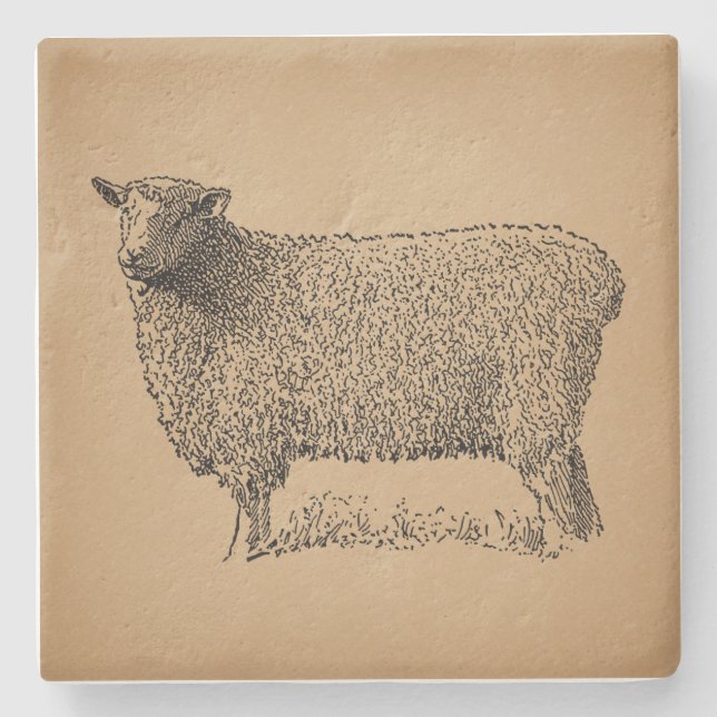 Classic Sheep Art Illustration Antique Farm Animal Stone Coaster (Front)
