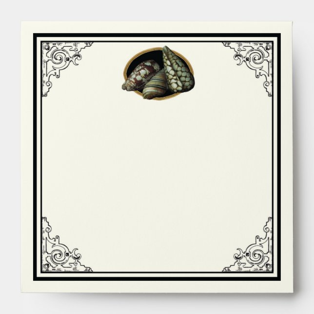 Classic Shells Wedding Invite - Matching Envelope (Front)