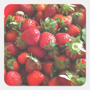 Classic Strawberries Square Sticker