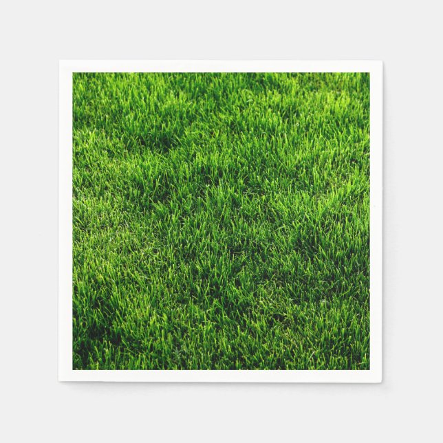 Classic Styles Textures  Napkins (Front)