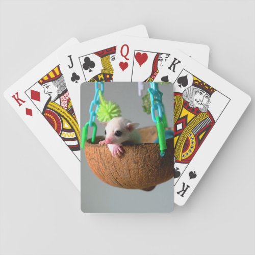 Classic Sugar Glider Playing Cards