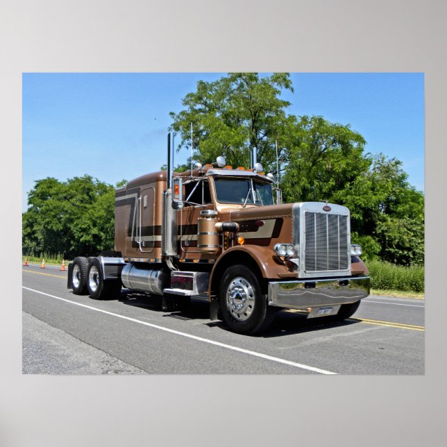 Classic Tan 359 Poster (Front)