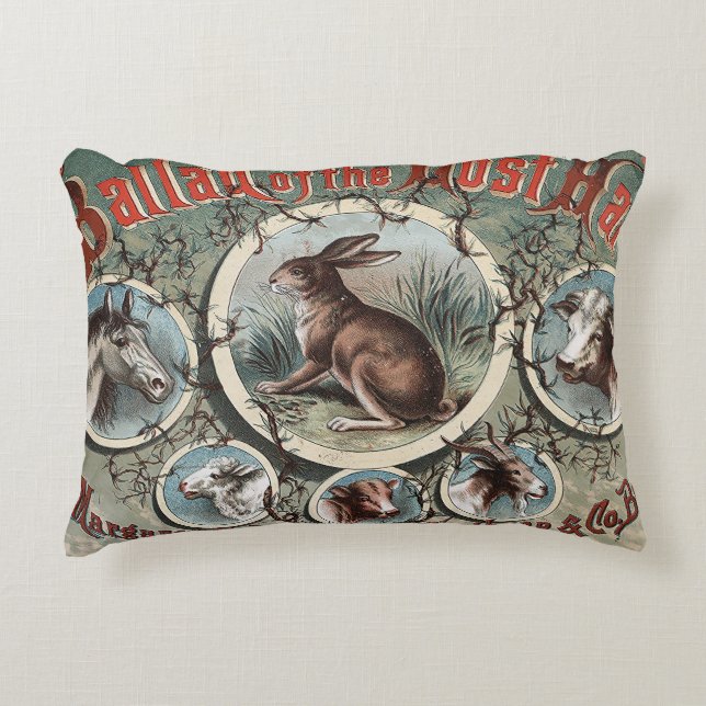 Classic The Ballad of the Lost Hare Accent Pillow (Front)