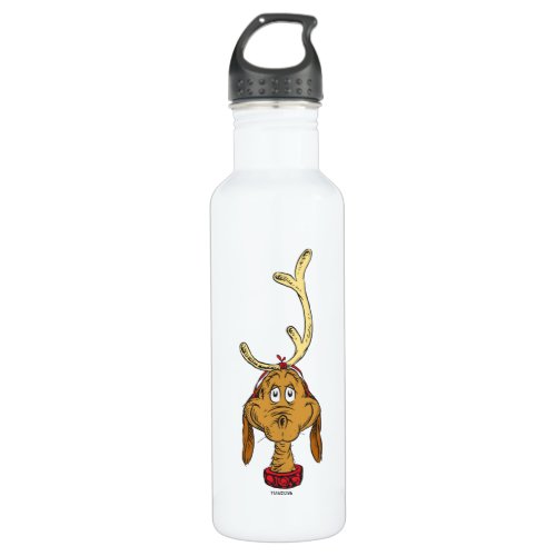 Classic The Grinch  Max Stainless Steel Water Bottle