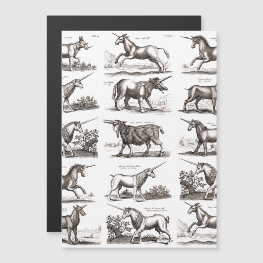 Classic Unicorn Antique Mythical Magical Creature (Front/Back)