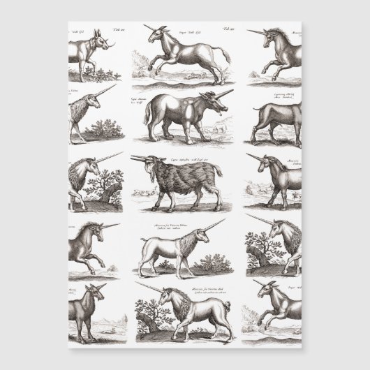 Classic Unicorn Antique Mythical Magical Creature (Front)