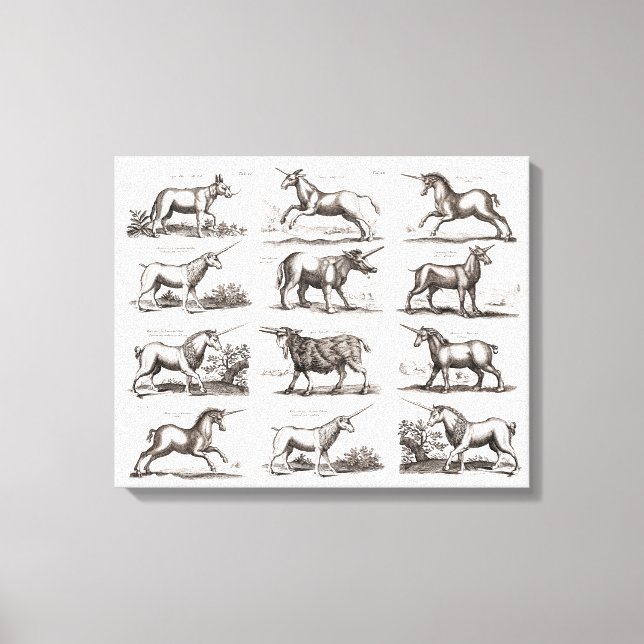 Classic Unicorn Antique Mythical Magical Creature Canvas Print (Front)