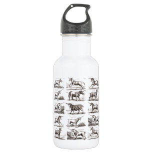 Classic Unicorn Antique Mythical Magical Creature Stainless Steel Water Bottle
