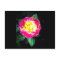 Classic Vibrant Rose Postcard