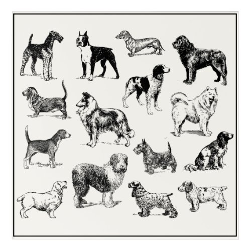 Classic Victorian Dog Lovers Vintage Breeds Acrylic Print