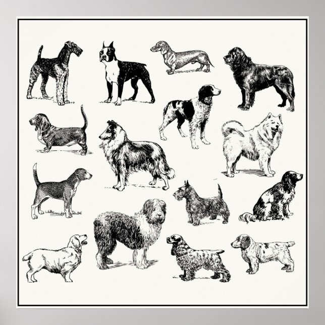 Classic Victorian Dog Lover's Vintage Breeds Poster (Front)