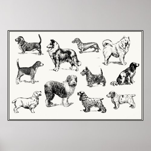 Classic Victorian Dog Lovers Vintage Breeds Poster