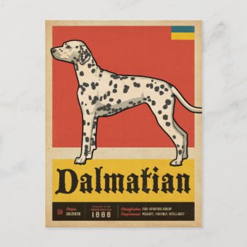 Classic Vintage Dalmation Postcard by AndersonDesignGroup at Zazzle