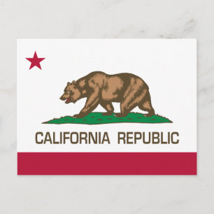 Classic Vintage Etching California Bear Postcard