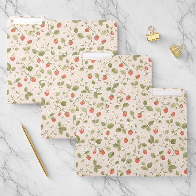 Classic Vintage Strawberry File Folder (Set)