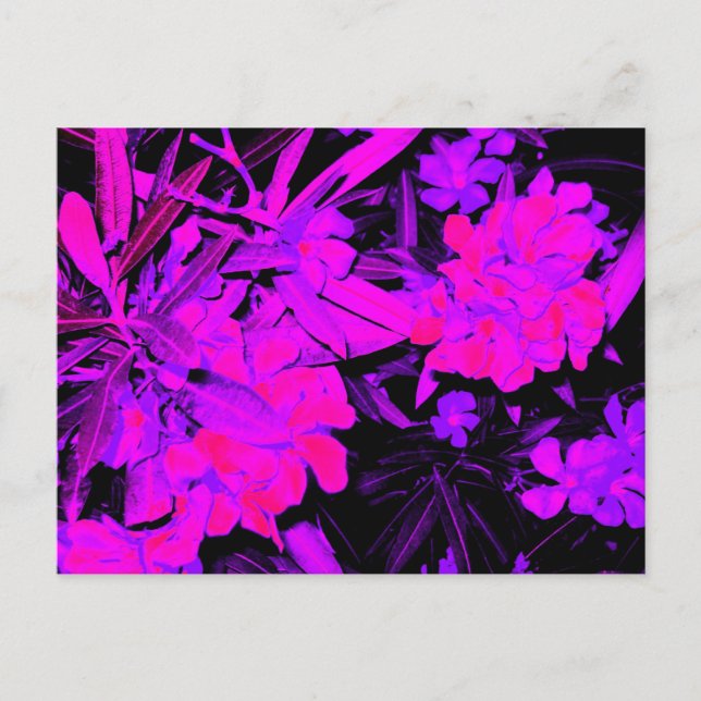 classic+vintage+stylish+artistic+look, postcard (Front)