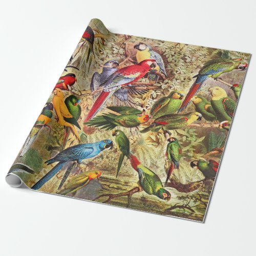 Classic Vintage Tropical Birds Parrots  Wrapping Paper