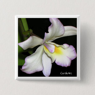 Classic White Orchid Pinback Button