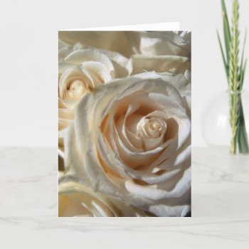 "classic White" Series Blank Card by glo53bug at Zazzle