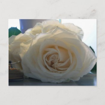 "classic White" Series Blank Postcard by glo53bug at Zazzle