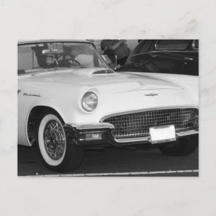 Classic White T-bird Postcard