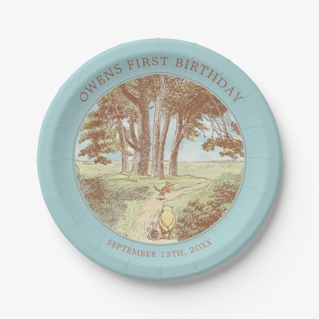 Classic Winnie the Pooh 100 Acre Wood Birthday Paper Plates (Front)
