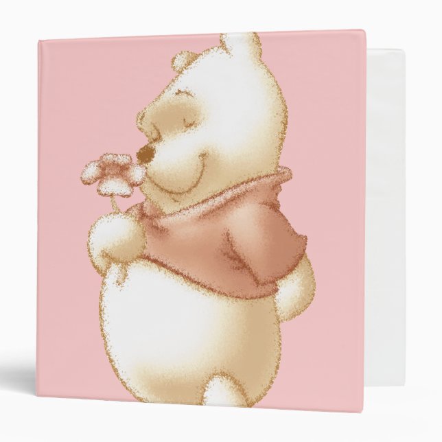 Classic Winnie the Pooh 1 Binder (Front/Inside)