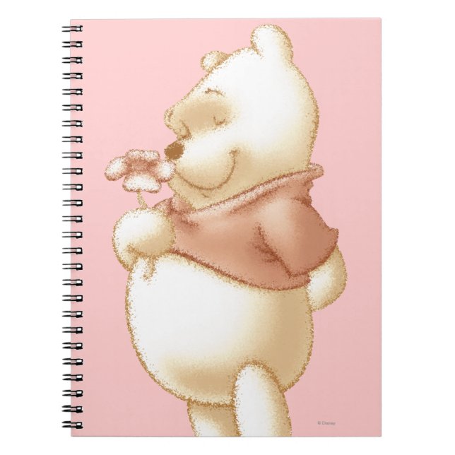 Classic Winnie the Pooh 1 Notebook (Front)