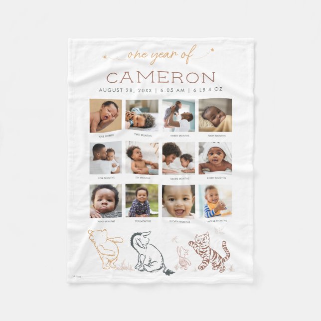 Classic Winnie the Pooh | One Year of - 12 Months Fleece Blanket (Front)