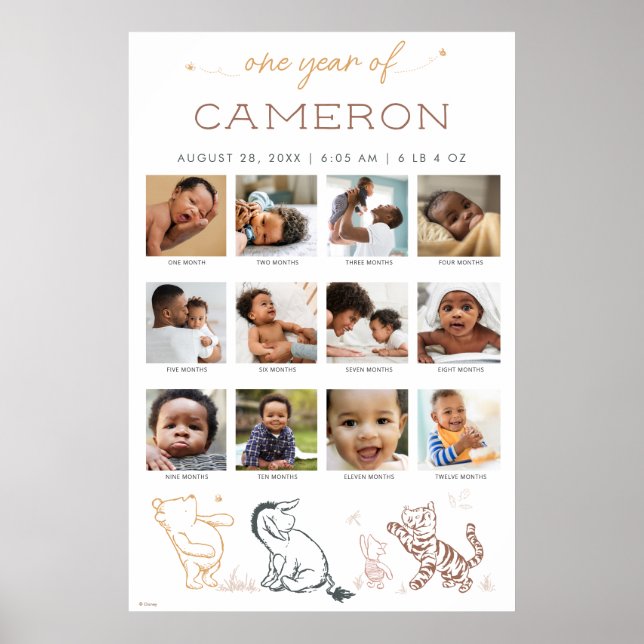 Classic Winnie the Pooh | One Year of - 12 Months Poster (Front)