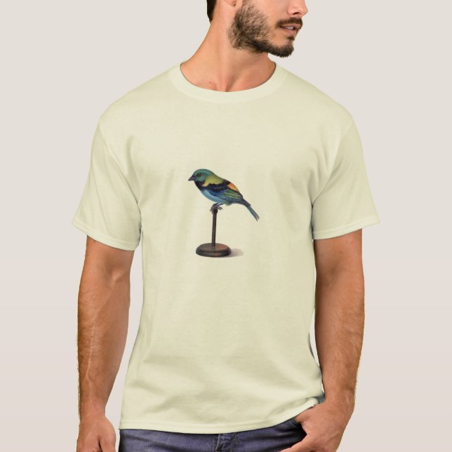 Classic Zoological Etching - Colorful Bird T-Shirt (Front)