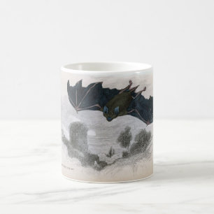 Classic Zoological Etching - Horseshoe Bat Coffee Mug