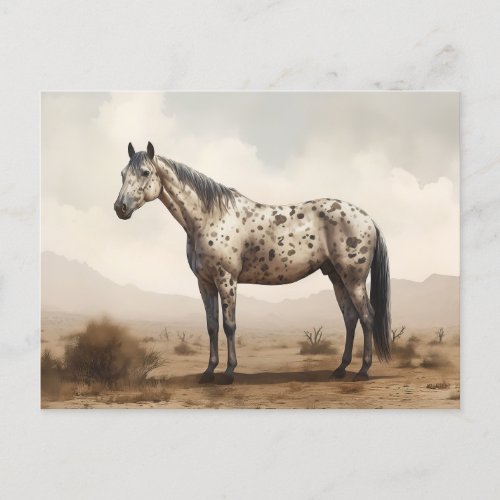 Classical American Appaloosa Horse Postcard
