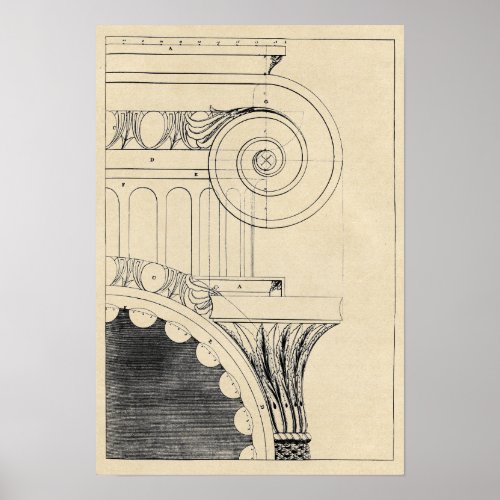 Classical Ionic Column Moldings Poster